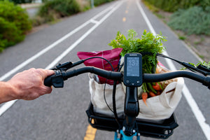 Groceries in the Big Basket on a CERO one bike moving down a bike path